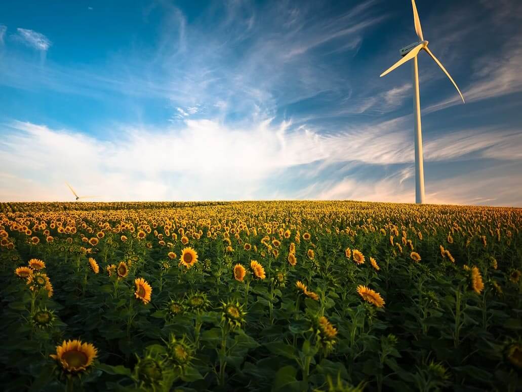 Sanchia: liderando la revolución verde en la industria del mobiliario
